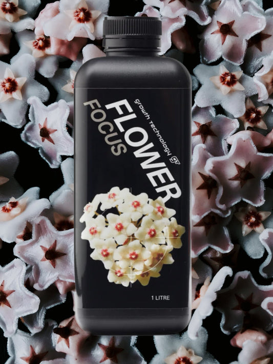Flower Focus